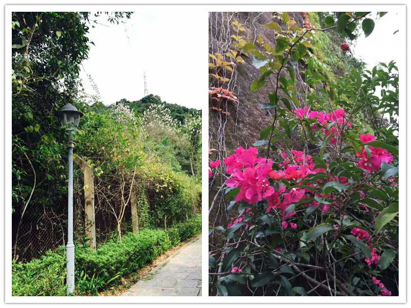 4月環(huán)保宣傳活動(dòng)